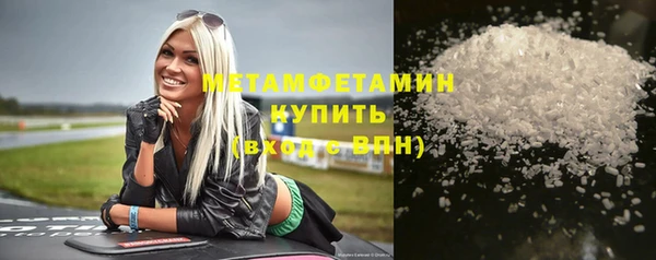 индика Волоколамск