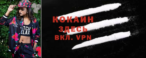 индика Волоколамск
