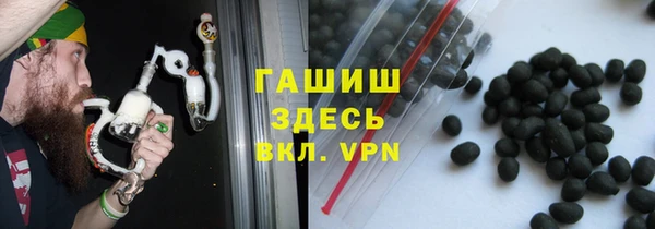 сатива Вяземский