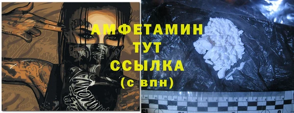 индика Волоколамск