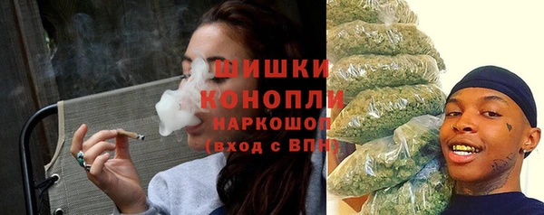индика Волоколамск