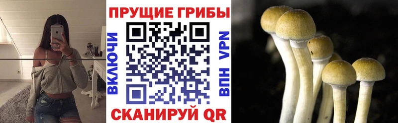 Галлюциногенные грибы GOLDEN TEACHER  Истра 