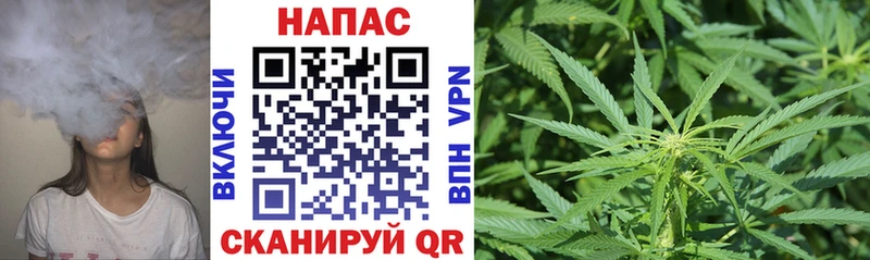 Шишки марихуана Ganja  Истра 